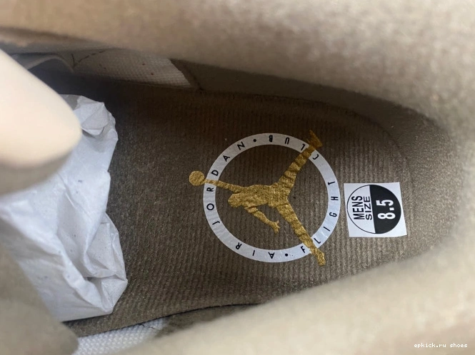 Rep CT8532-102 Palomino Jordan Air 3 0821
